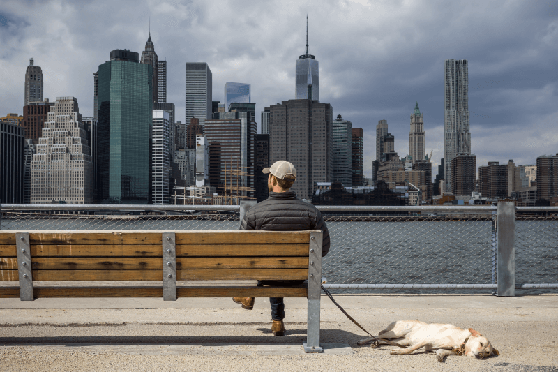 Man sitting on a bench with dog looking out to Hudson River, New York