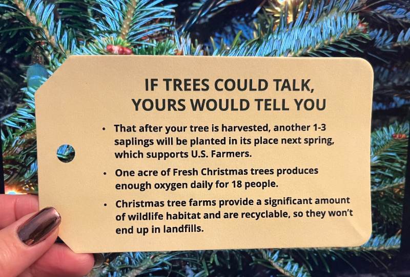 Close-up of a Christmas tree sustainability tag held near tree branches, explaining environmental benefits and replanting practices from Town & Country Gardens.