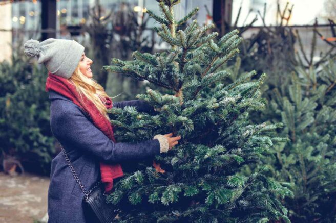 How to Select the Right Christmas Tree