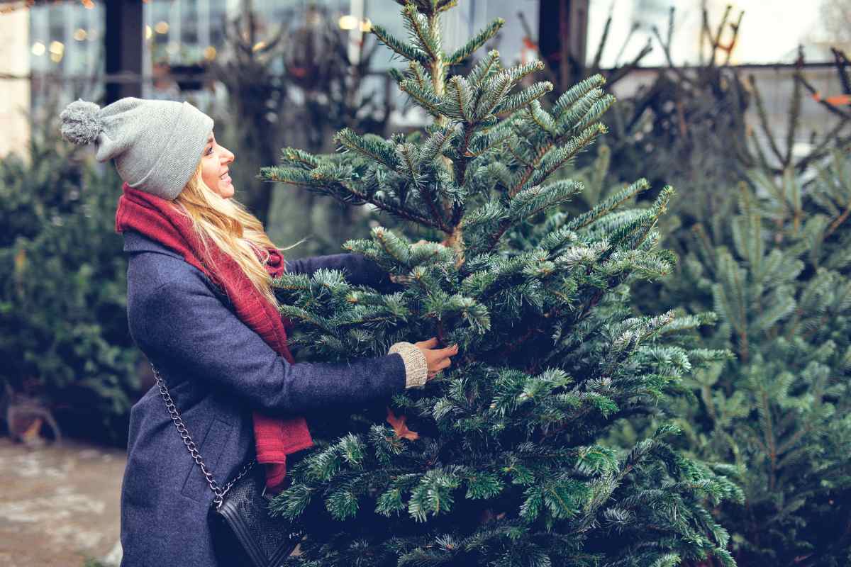 A woman dressed in a hat, scarf, and jacket picks out a precut Christmas tree at an outdoor lot.