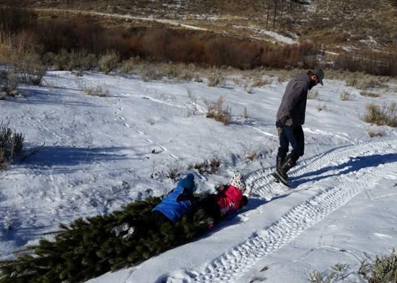 Man pulling a freshly cut Christmas tree across snowy ground while two bundled children ride on top, enjoying the winter outing. 