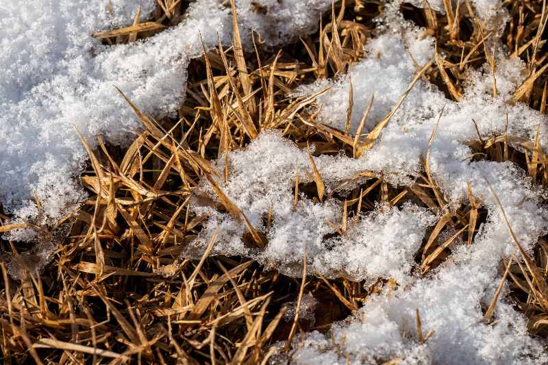 Brown dormant grass with scattered patches of melting snow revealing dry blades.