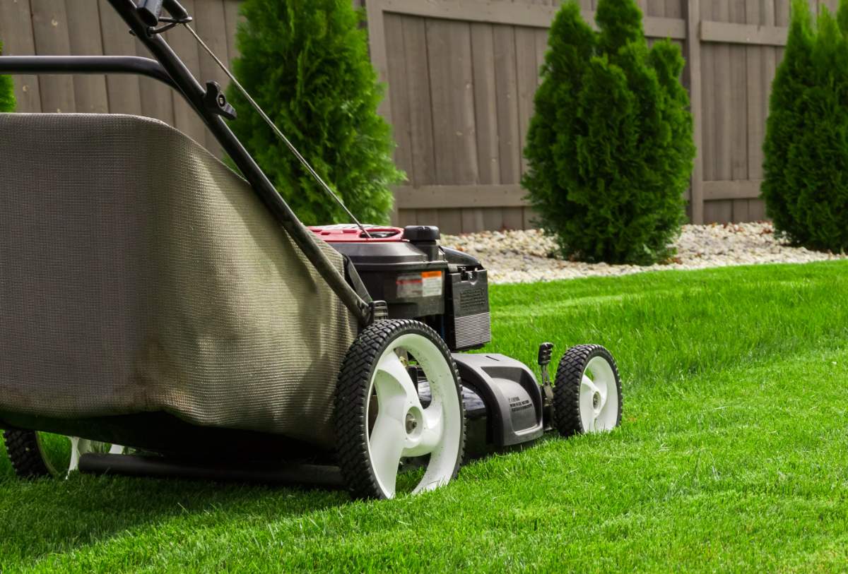 Lawn mower cutting neatly trimmed green grass beside a landscaped garden with rocks, shrubs, and wooden fence in a well-maintained backyard.