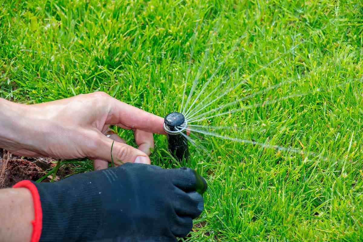 An irrigation specialist repairs a pop-up lawn sprinkler as water shoots from the sprinkler.