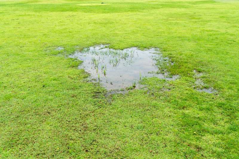 Large puddle of standing water on a lawn after rain, showing poor drainage and potential problems like soil saturation and mosquito breeding.