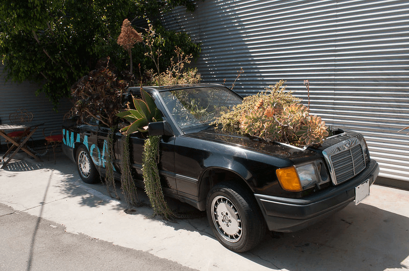 A car filled with native plants at the Santa Monica Museum of Art