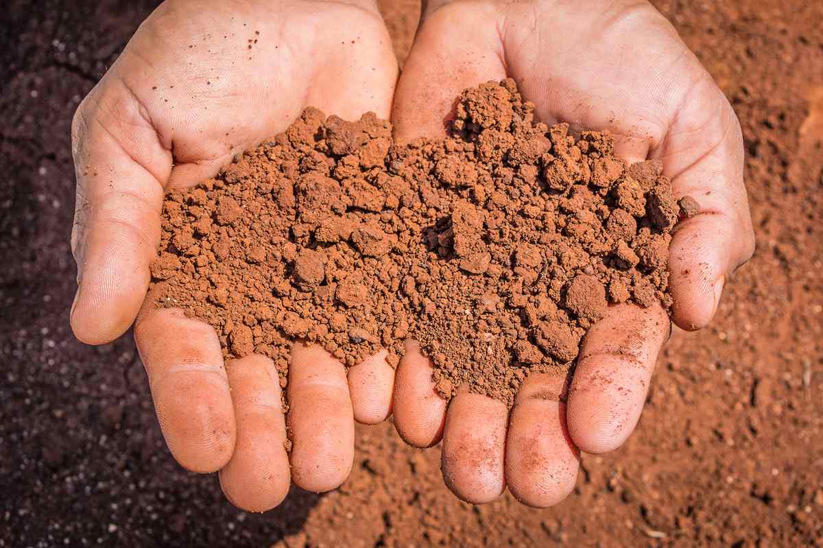 Closeup of red clay soil in hands.