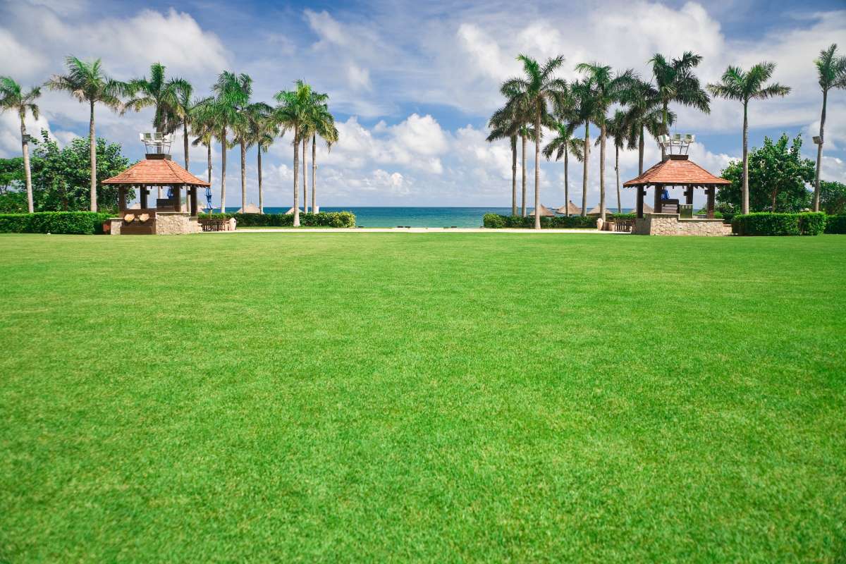 Wide green resort lawn near the coast, framed by palm trees and small gazebos under a bright blue sky.