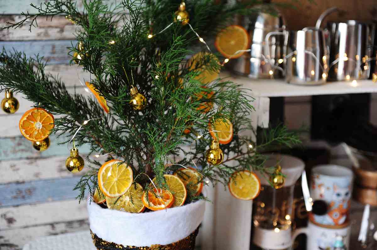 Small, decorated juniper Christmas tree in a festive pot.