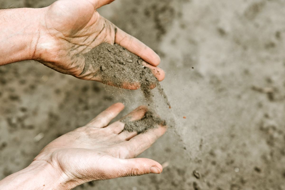 Sandy soil in hands.