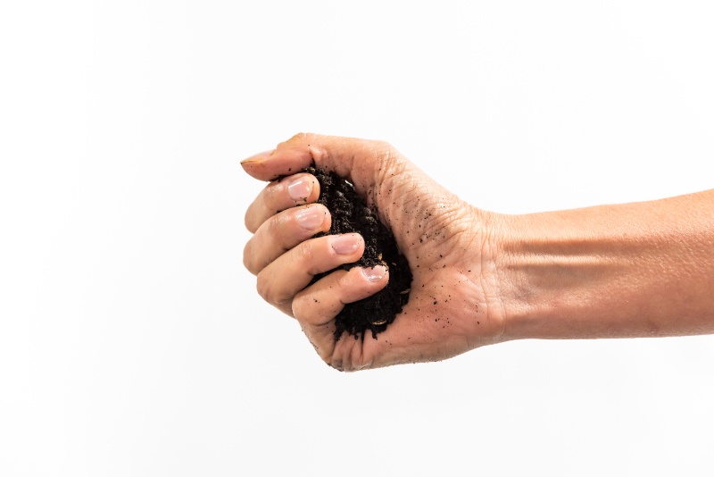 Hand squeezing moist soil into a compact ball, demonstrating the squeeze test used to assess soil texture and moisture retention.