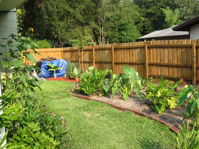 landscaped backyard with a mulched bed with plants, alongside a wood fence