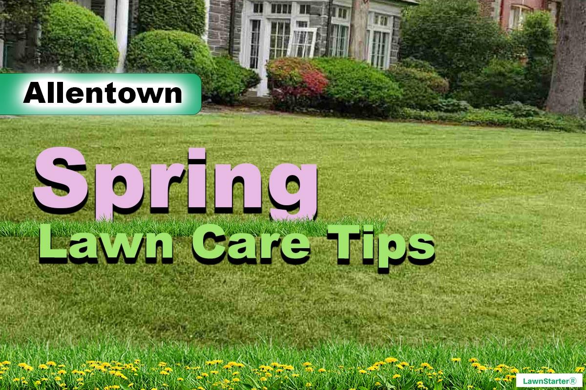 Allentown, PA Spring lawn care