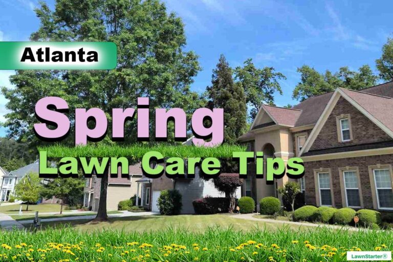 Atlanta, GA Spring lawn care