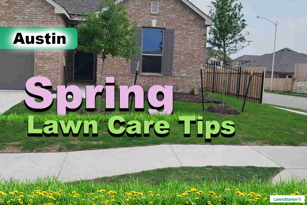 Austin, TX Spring lawn care