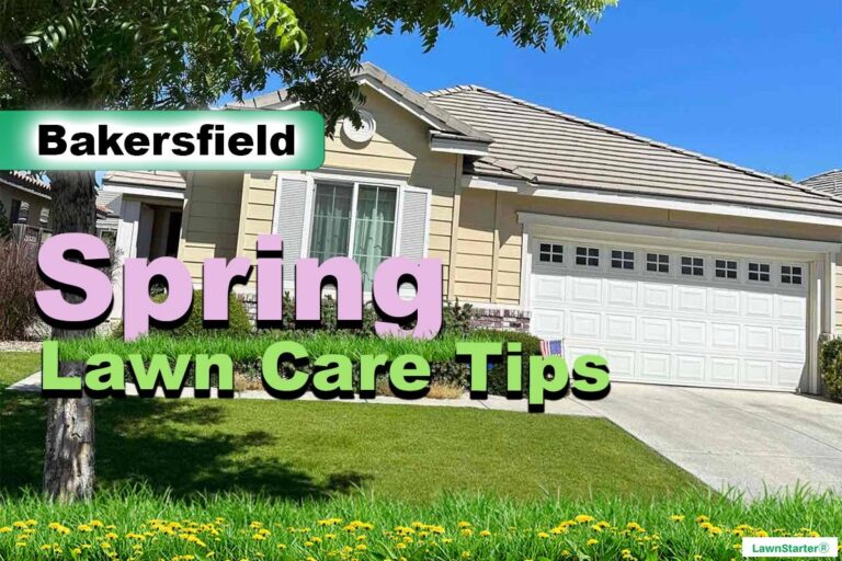 Bakersfield, CA Spring lawn care