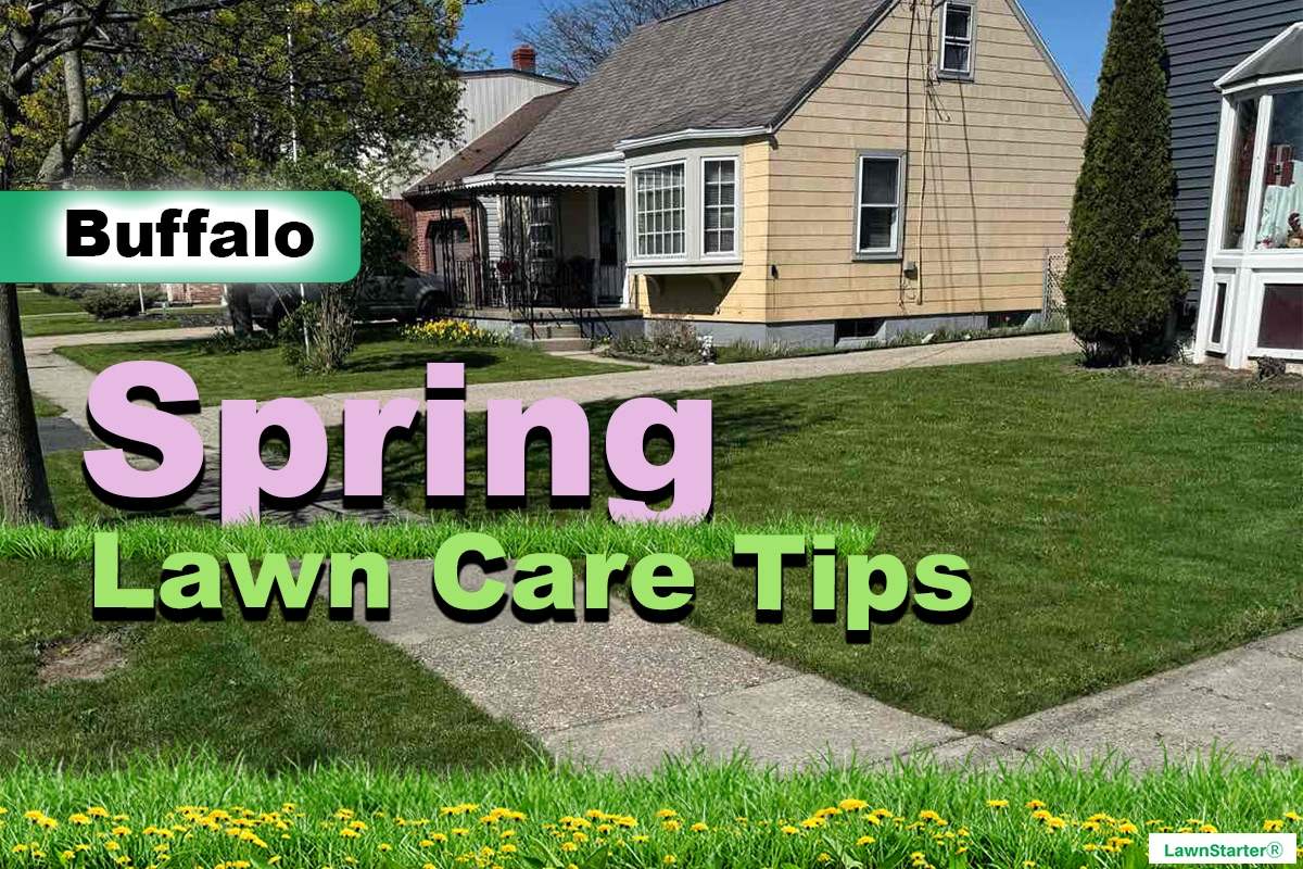 Buffalo, NY Spring lawn care