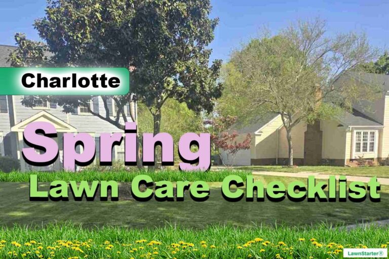 Charlotte, NC Spring lawn care