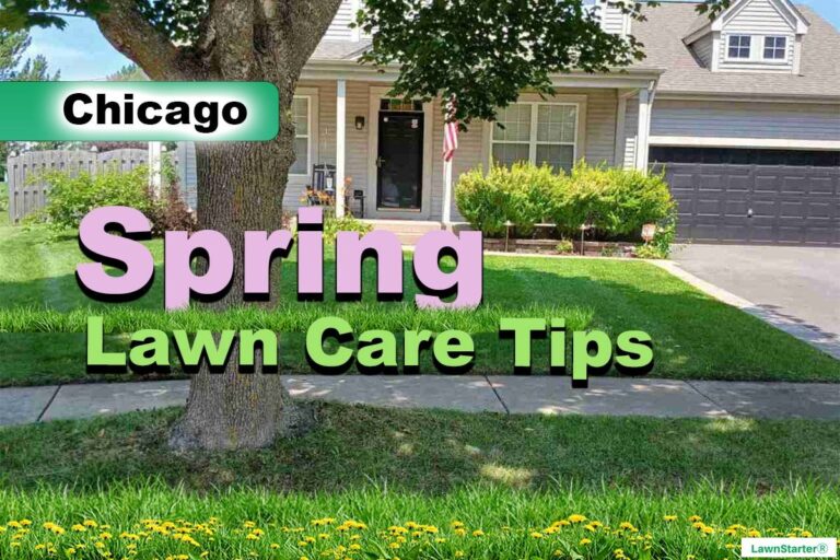 Chicago, IL Spring lawn care
