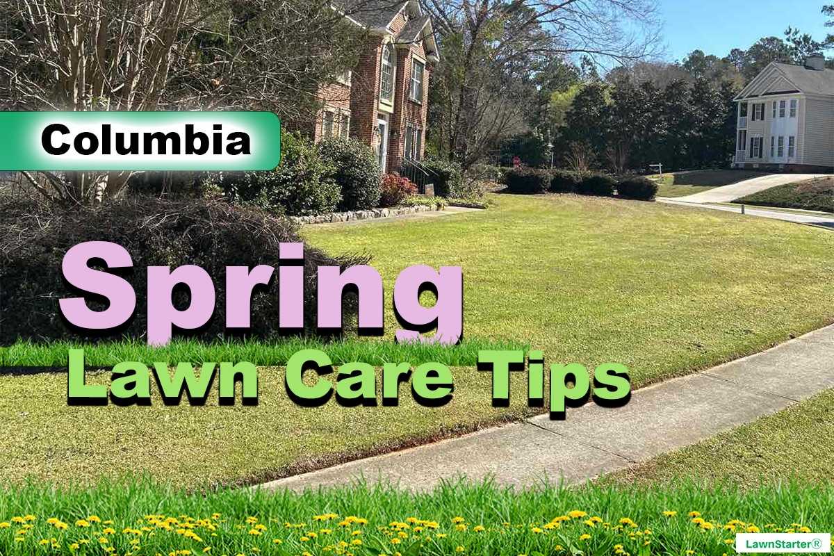 Columbia, SC Spring lawn care