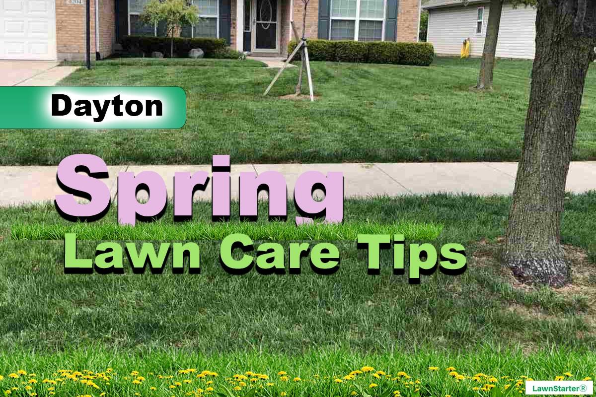 Dayton, OH Spring lawn care