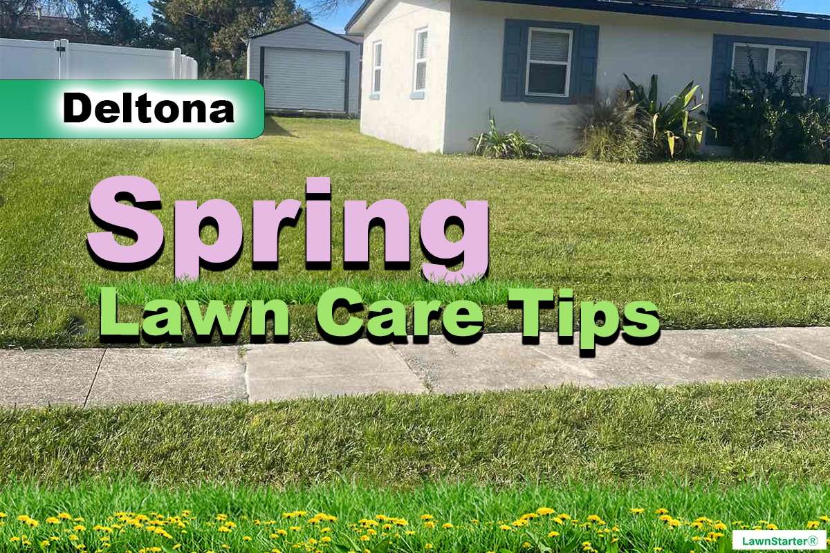 Deltona, FL Spring lawn care