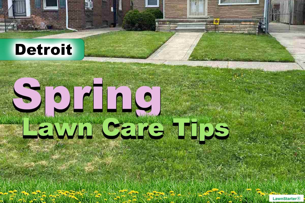 Detroit, MI Spring lawn care
