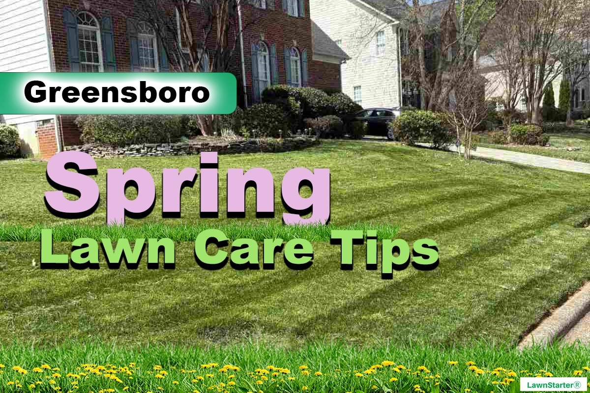 Greensboro, NC Spring lawn care, within the Piedmont Triad