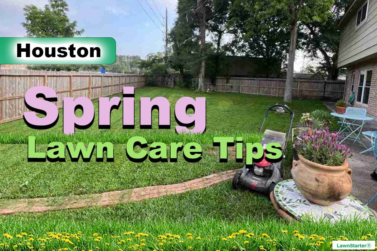 Houston, TX, Spring lawn care
