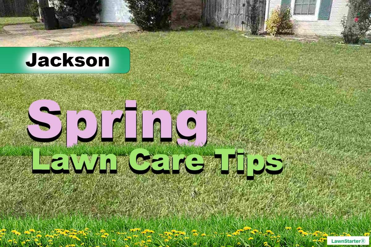 Jackson, MS Spring lawn care