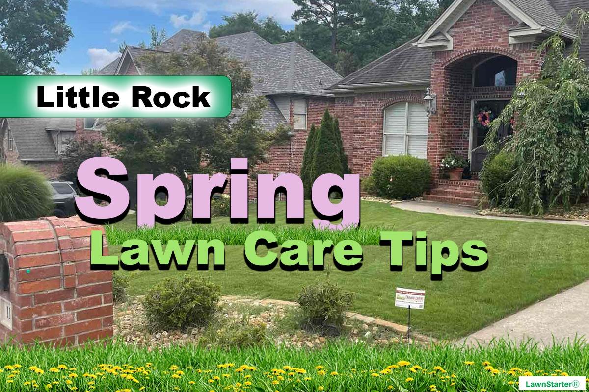 Little Rock, AR Spring lawn care