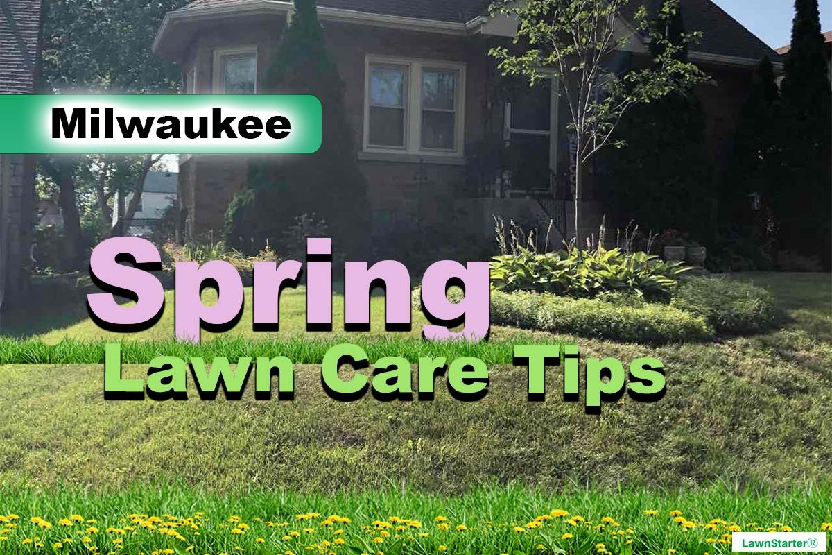 Milwaukee, WI Spring lawn care