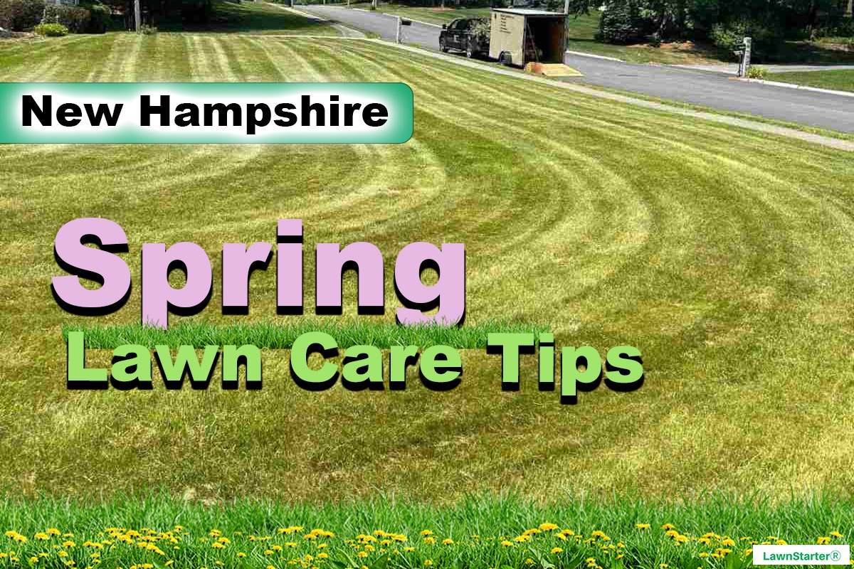 New Hampshire (Nashua), NH Spring lawn care
