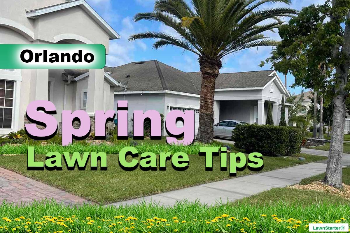 Orlando, FL Spring lawn care