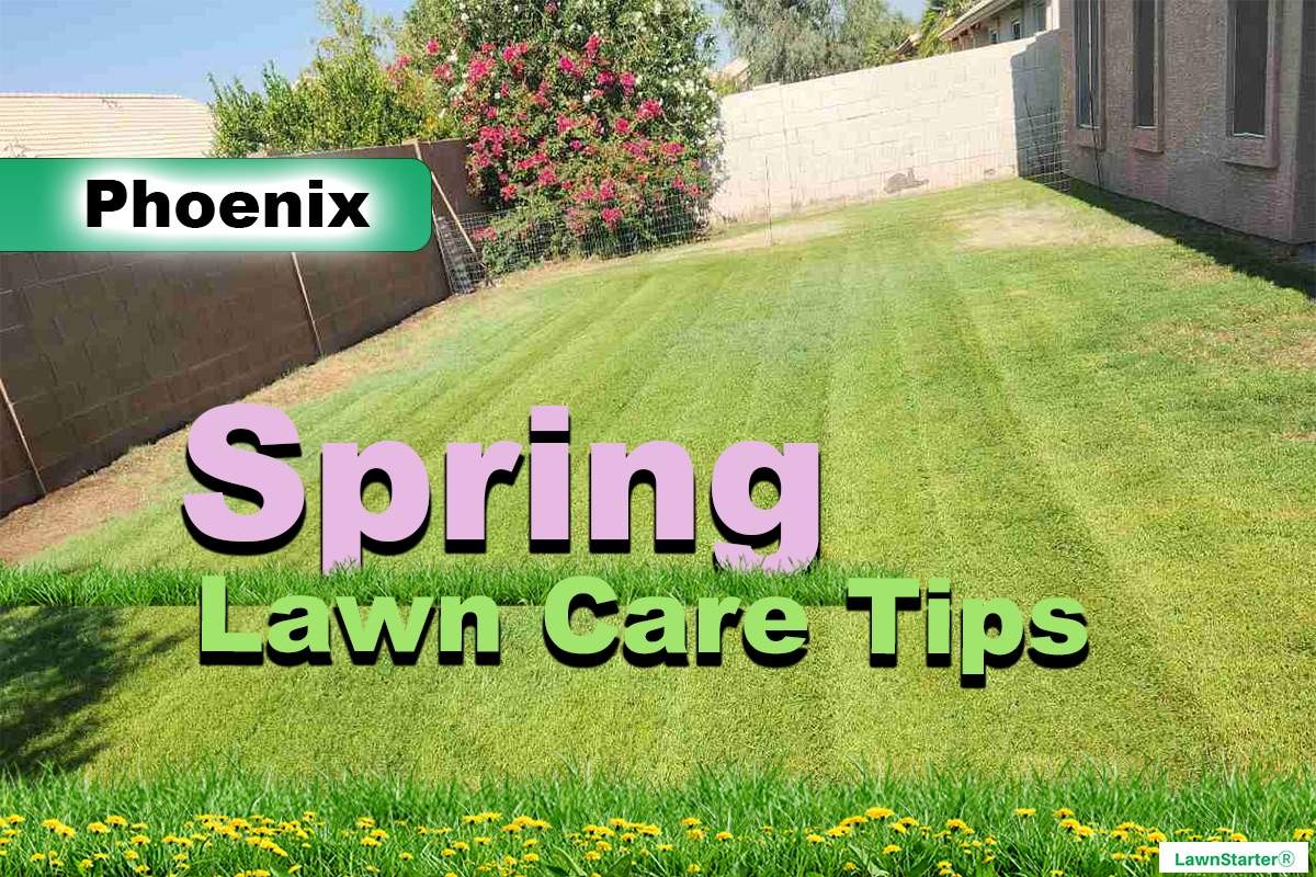 Phoenix, AZ Spring lawn care