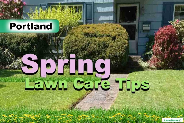 Portland, OR Spring lawn care