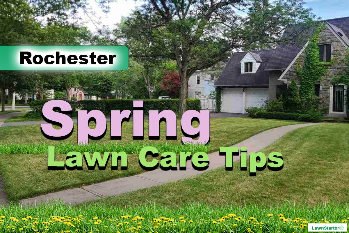 Rochester, NY Spring lawn care