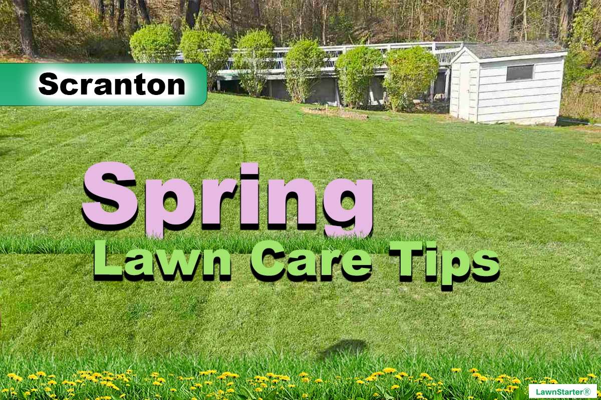 Scranton, PA Spring lawn care