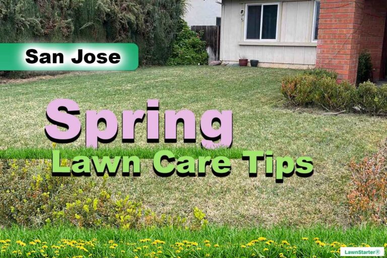 San Jose, CA Spring lawn care
