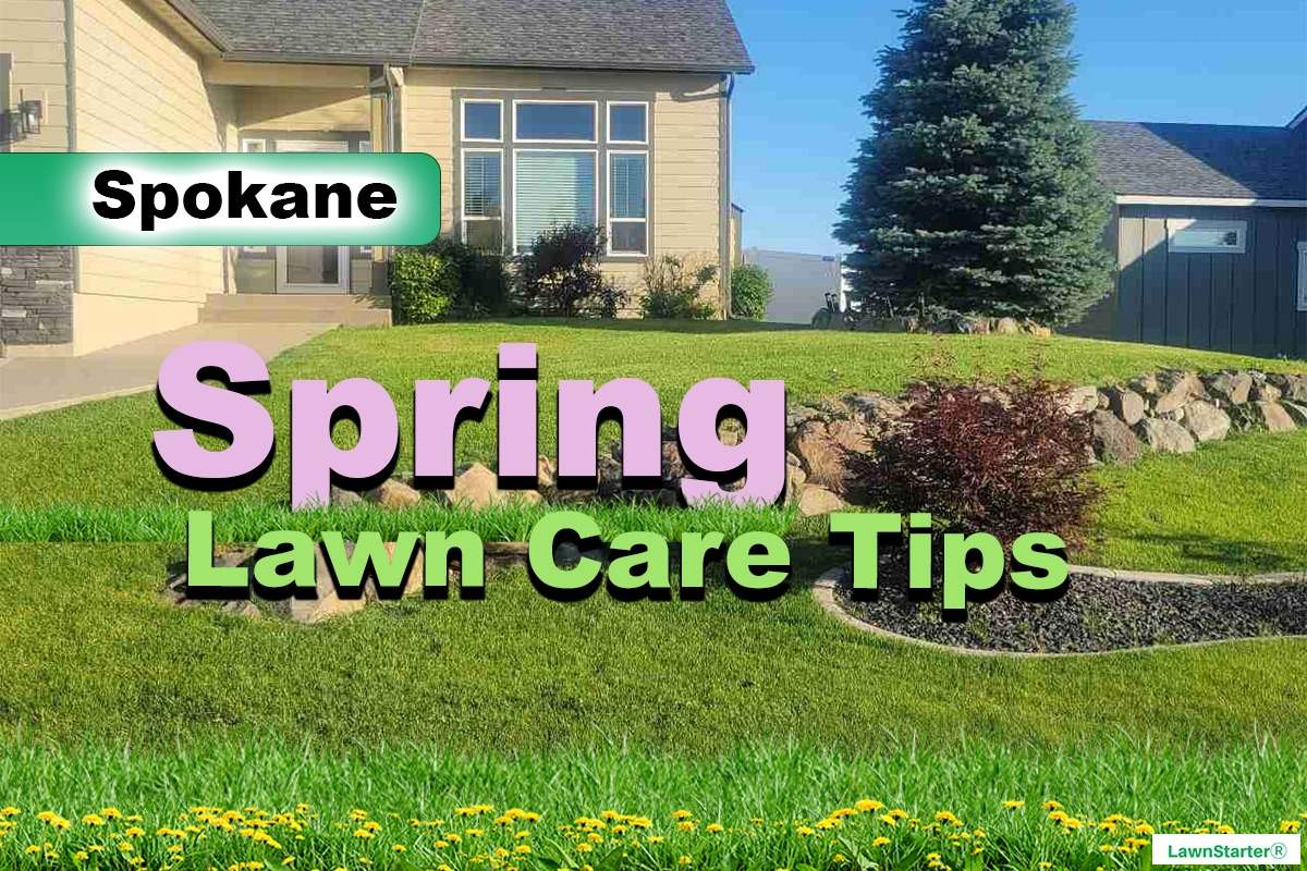 Spokane, WA Spring lawn care