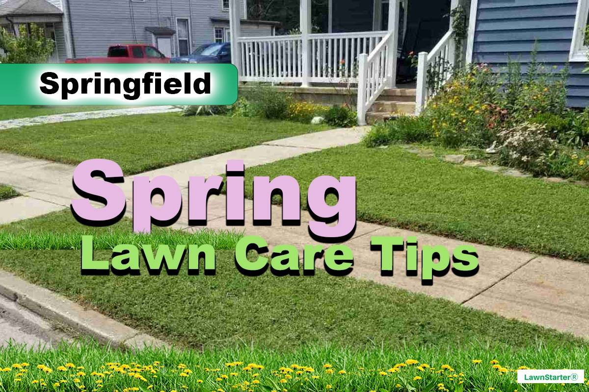 Springfield, MO Spring lawn care