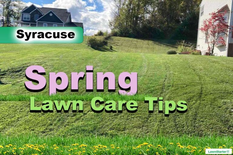 Syracuse, NY Spring lawn care