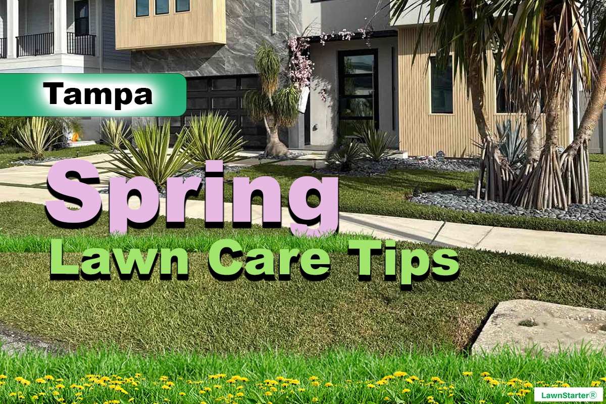 Tampa,FL Spring lawn care