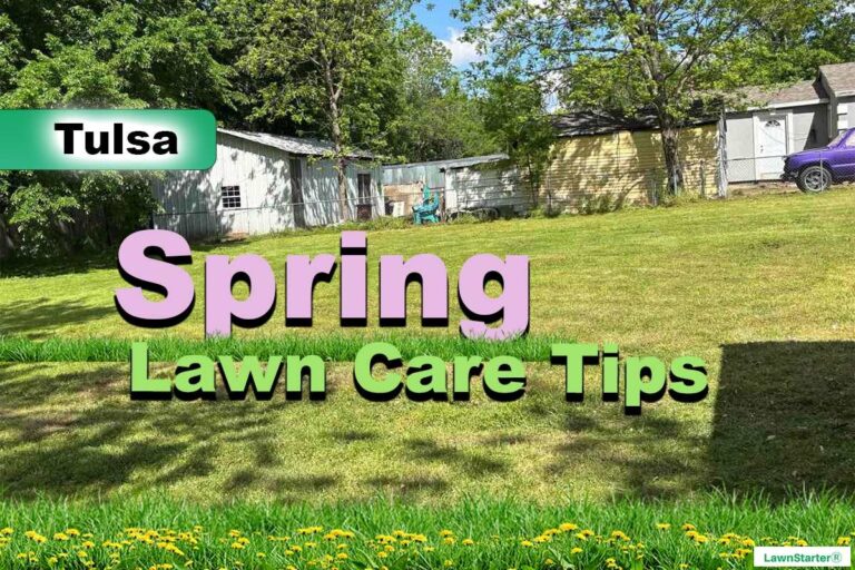 Tulsa, OK Spring lawn care