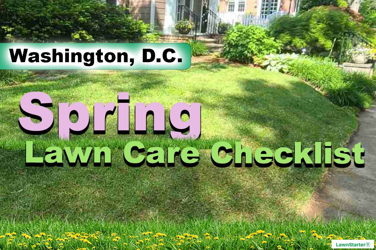 Washington, DC Spring lawn care