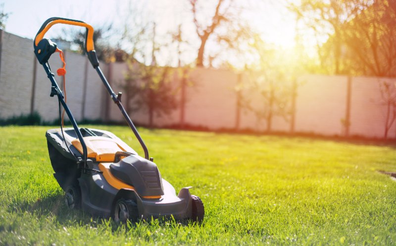 Black and orange push lawn mower on bright green grass in backyard, sun flaring near fence and trees.