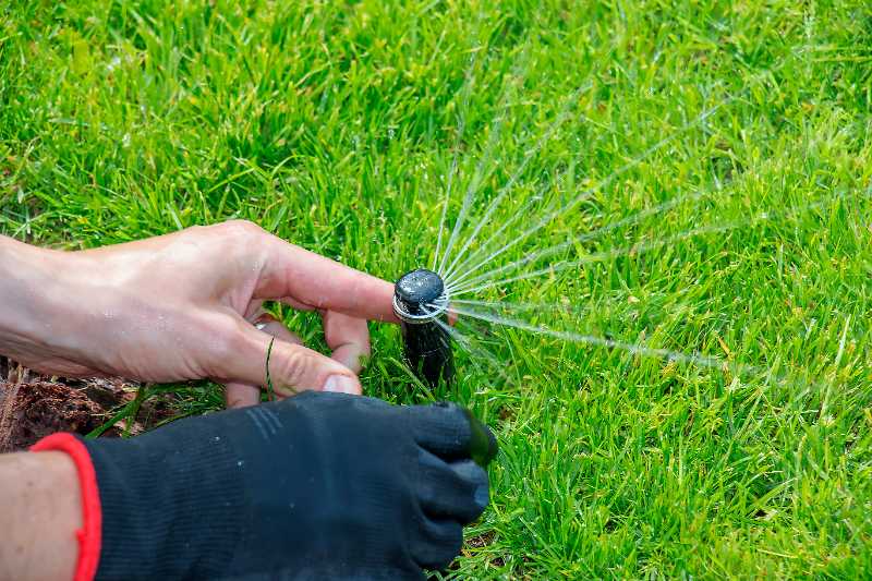 An irrigation specialist repairs a pop-up lawn sprinkler as water shoots from the sprinkler.