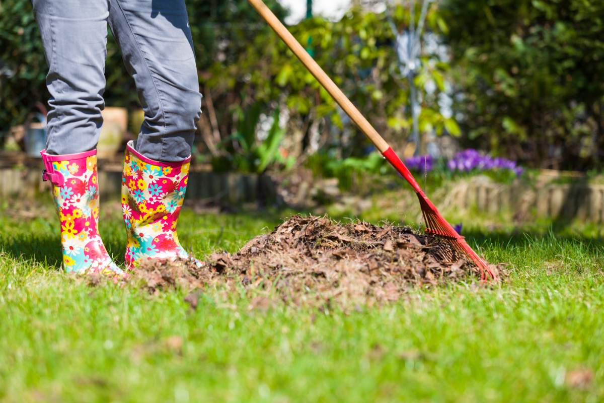 A person wearing colorful floral rain boots is raking a pile of dried leaves on a grassy lawn, indicating garden cleanup or spring lawn maintenance.
