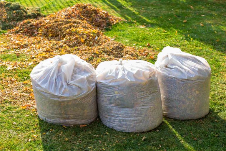 Pile of yellow and orange fallen leaves collected in big white plastic bags on green grass lawn at backyard.