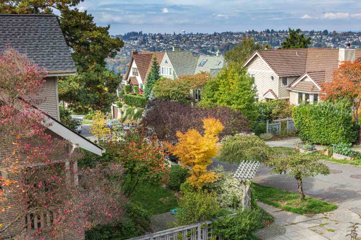 Residential neighborhood and fall colors Seattle, WA.